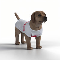 Southampton FC 25/26 Home Inspired Pet Graphic Tee Shirt (Sizes XS-Small)