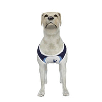 Tottenham Hotspur FC 25/26 Home Kit Inspired Personalized Tank
