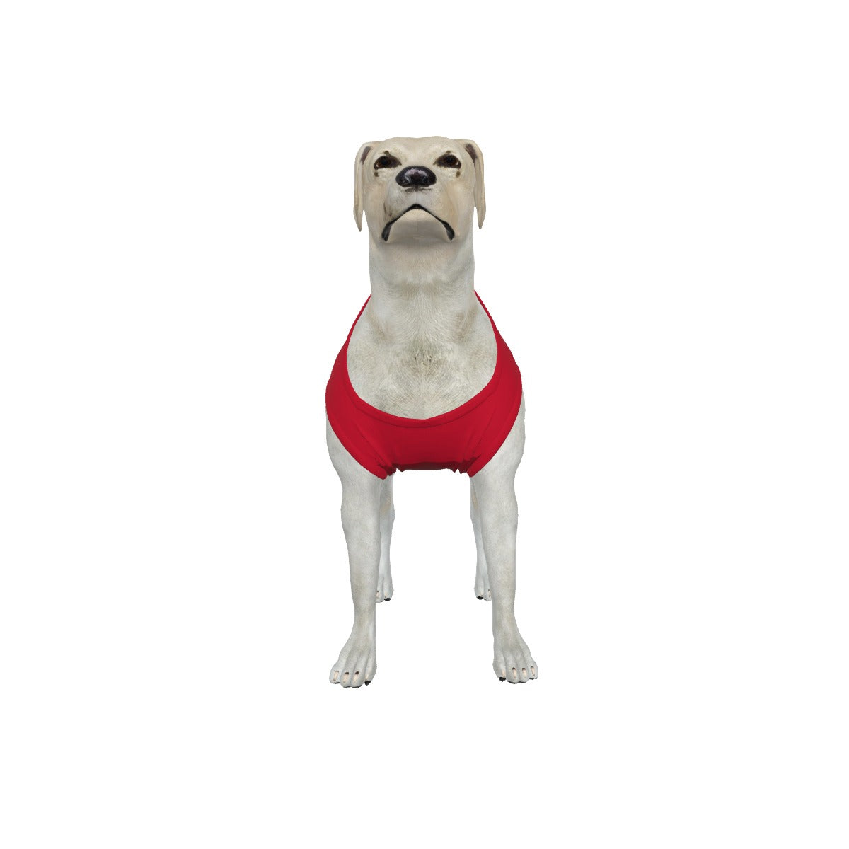ADS-3APCBX04-MHDGF-FFFFFF-2XL