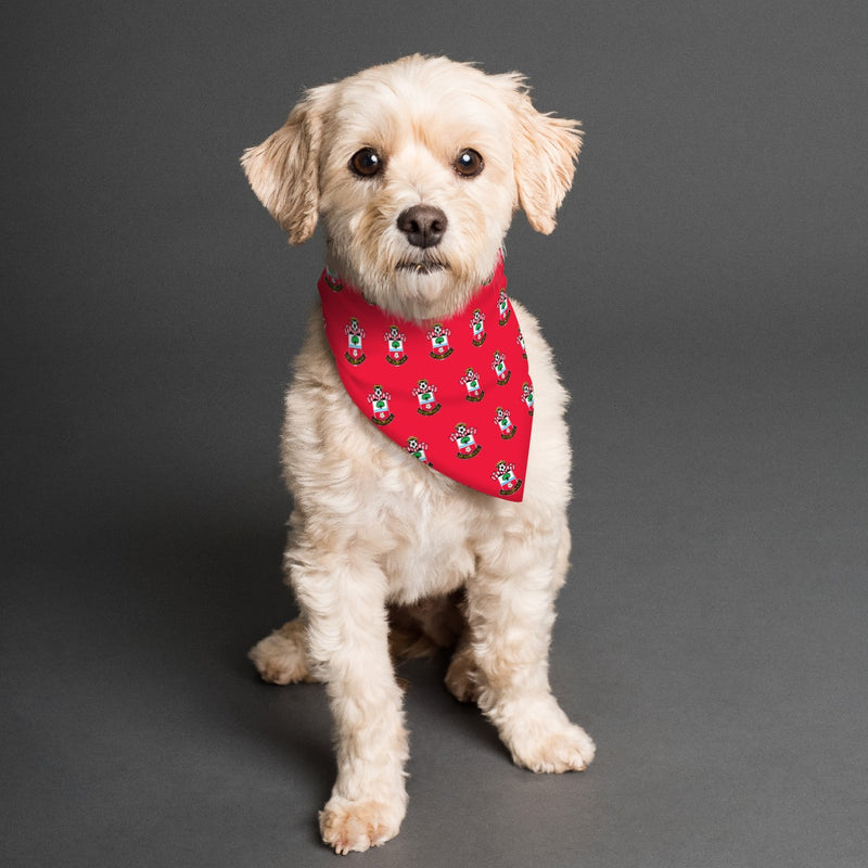 Southampton FC 25/26 Home Kit Inspired Reversible Bandana