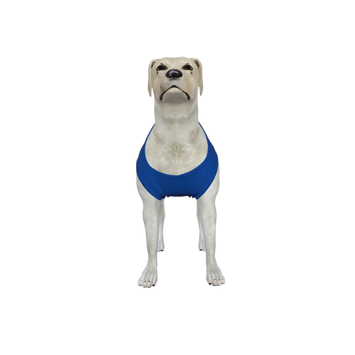 Chelsea FC 25/26 Home Inspired Graphic Pet Tee Shirt (Size M-2x)