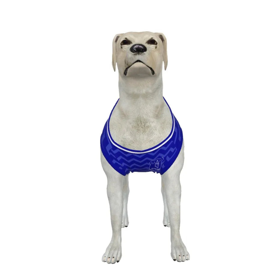 Everton FC 25/26 Home Kit Inspired Personalized Tank