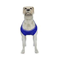Everton FC 25/26 Home Kit Inspired Personalized Tank