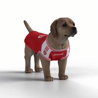 Arsenal FC 25/26 Home Kit Inspired Personalized Tank