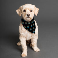 Newcastle United FC 25/26 Home Kit Inspired Reversible Bandana