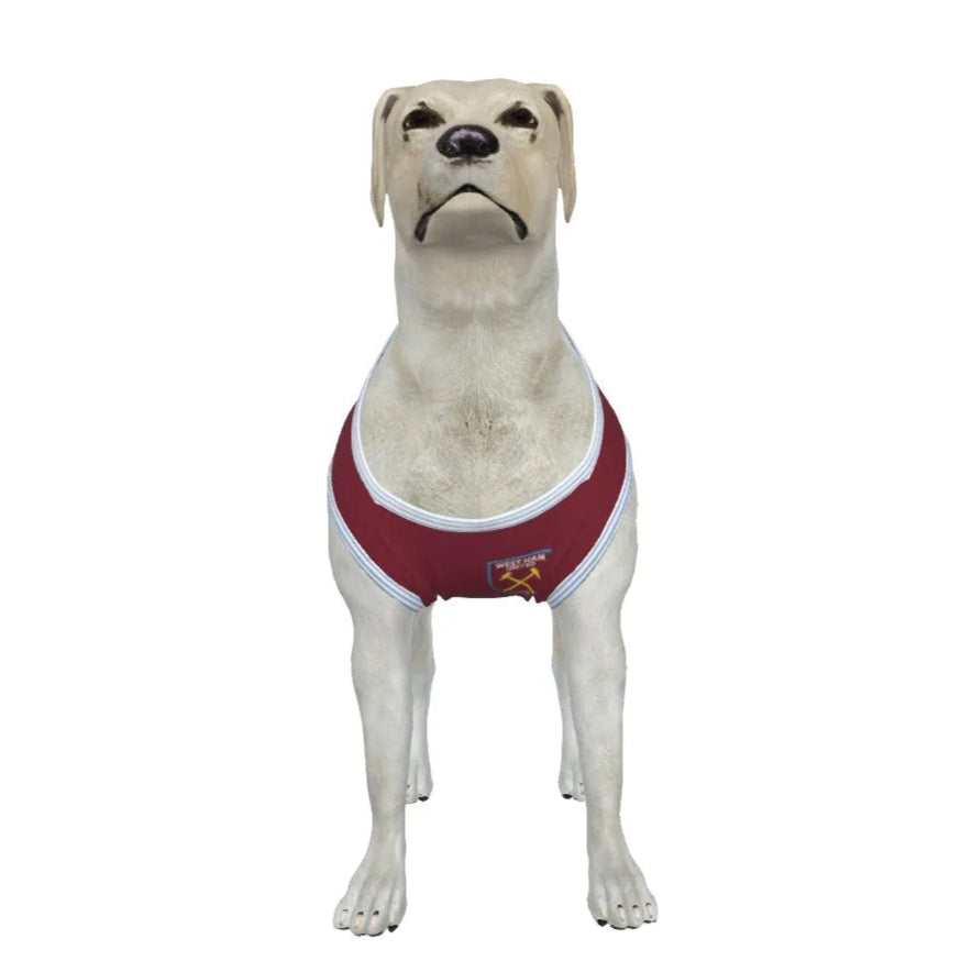 West Ham United FC 25/26 Home Kit Inspired Personalized Tank