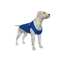 Chelsea FC 25/26 Home Inspired Graphic Pet Tee Shirt (Size M-2x)