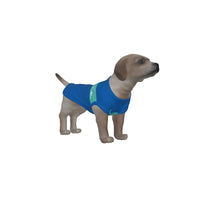 Brighton & Hove Albion FC 25/26 Home Inspired Pet Graphic Tee Shirt (Sizes XS-Small)