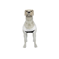 Fulham FC 25/26 Home Inspired Graphic Pet Tee Shirt (Size M-2x)