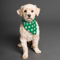 Celtic FC 25/26 Home Kit Inspired Reversible Bandana