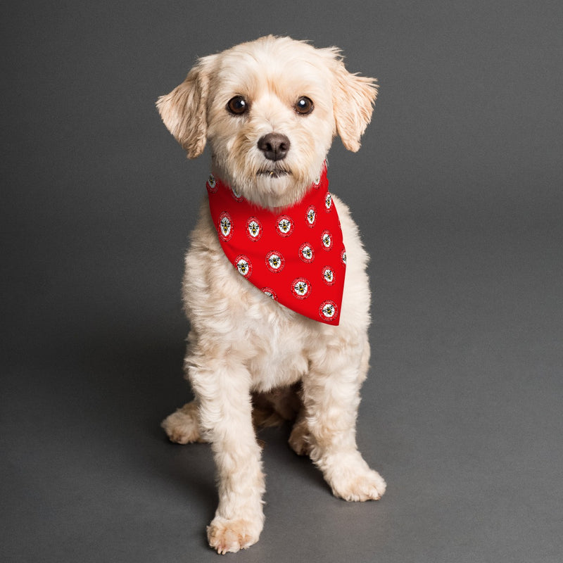 Brentford FC 25/26 Home Kit Inspired Reversible Bandana