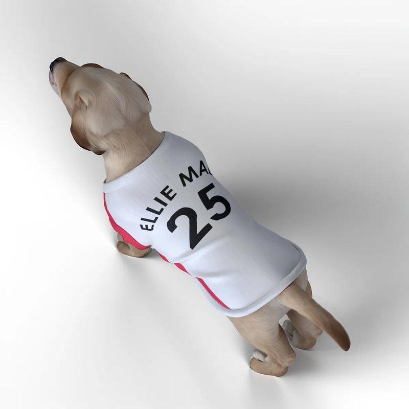 Southampton FC 25/26 Home Kit Inspired Personalized Tank