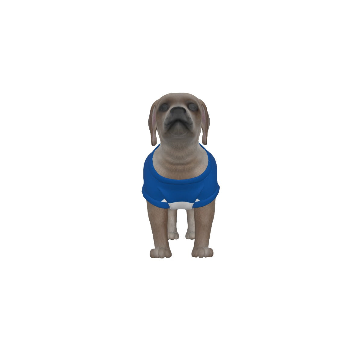 Leicester City FC 25/26 Home Inspired Pet Graphic Tee Shirt (Sizes XS-Small)
