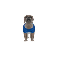 Leicester City FC 25/26 Home Inspired Pet Graphic Tee Shirt (Sizes XS-Small)