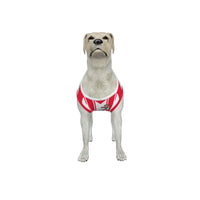 Southampton FC 25/26 Home Kit Inspired Personalized Tank