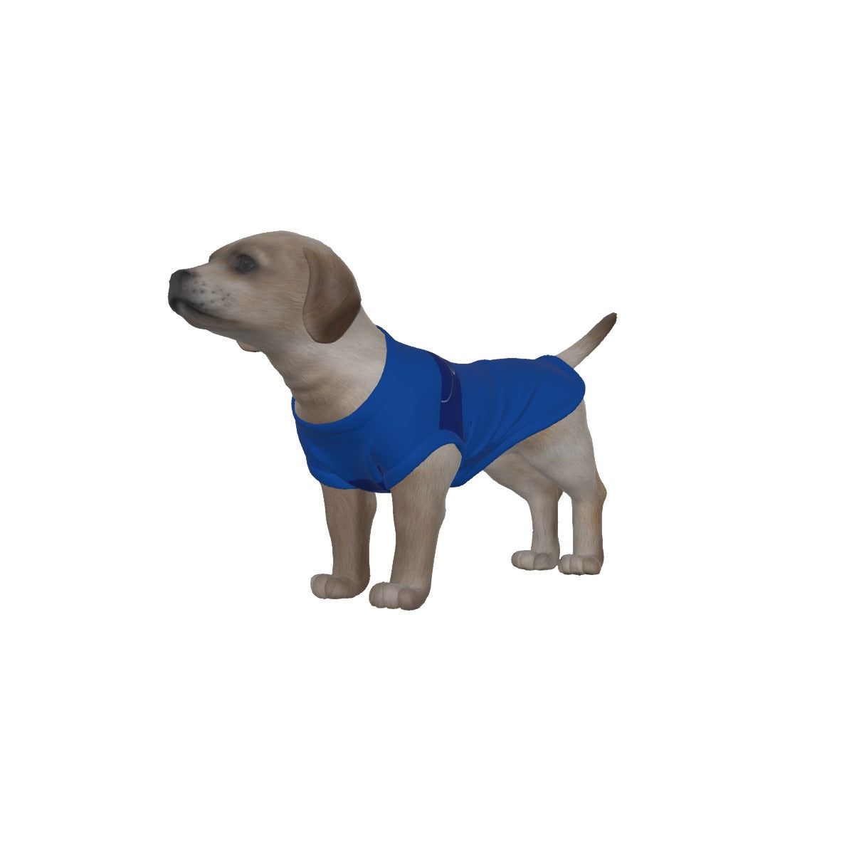 Chelsea FC 25/26 Home Inspired Pet Graphic Tee Shirt (Sizes XS-Small)