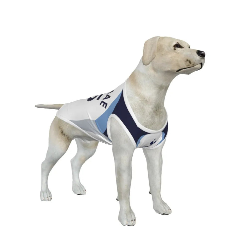 Tottenham Hotspur FC 25/26 Home Kit Inspired Personalized Tank