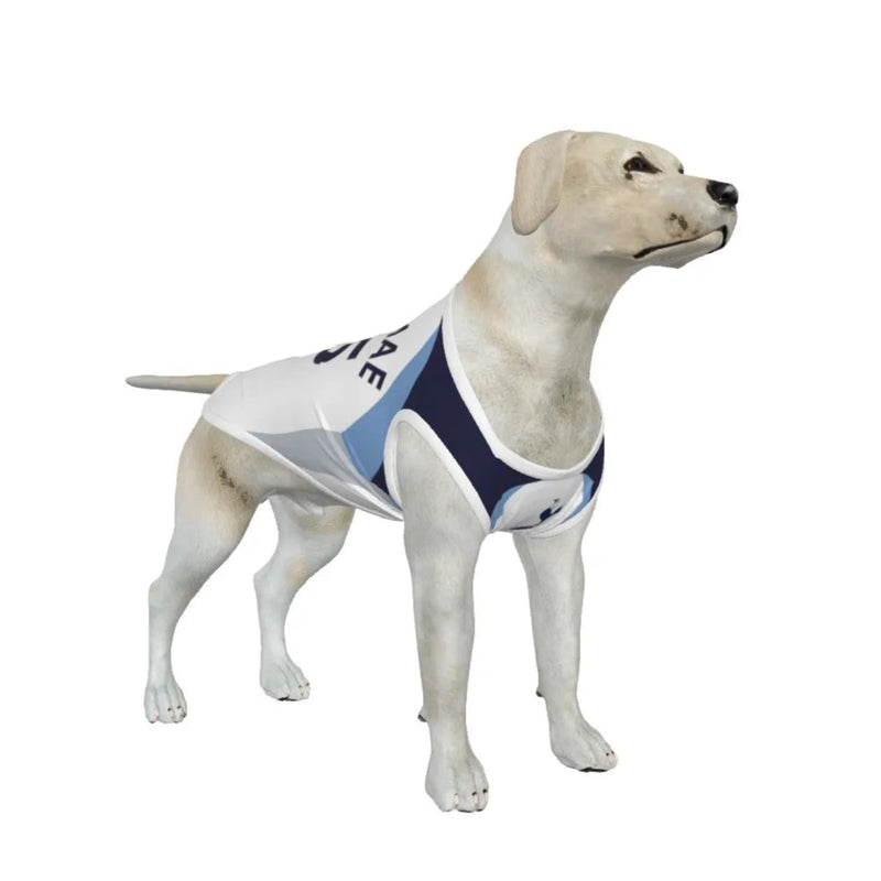 Tottenham Hotspur FC 25/26 Home Kit Inspired Personalized Tank