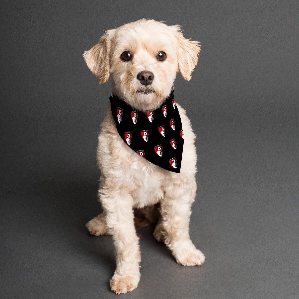 AFC Bournemouth 25/26 Home Kit Inspired Reversible Bandana