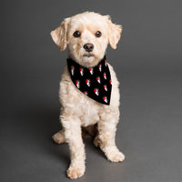 AFC Bournemouth 25/26 Home Kit Inspired Reversible Bandana