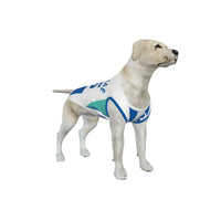 Brighton & Hove Albion FC 25/26 Home Kit-Inspired Personalized Tank