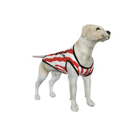 Sunderland AFC 25/26 Home Kit Inspired Personalized Tank