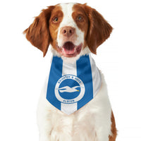 Brighton & Hove Albion FC 25/26 Home Kit Inspired Reversible Bandana