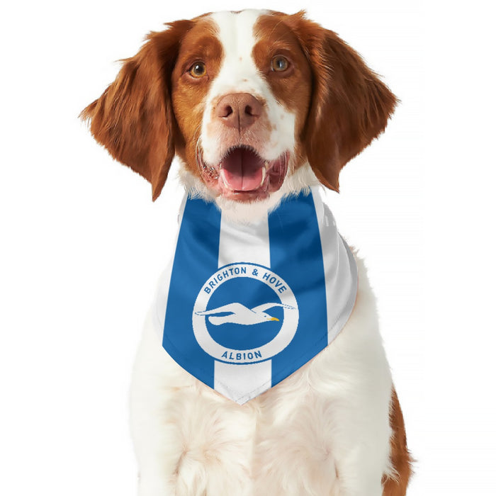 Brighton & Hove Albion FC 25/26 Home Kit Inspired Reversible Bandana