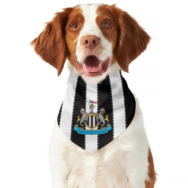 Newcastle United FC 25/26 Home Kit Inspired Reversible Bandana