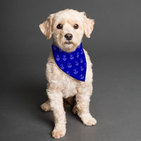 Everton FC 25/26 Home Kit Inspired Reversible Bandana
