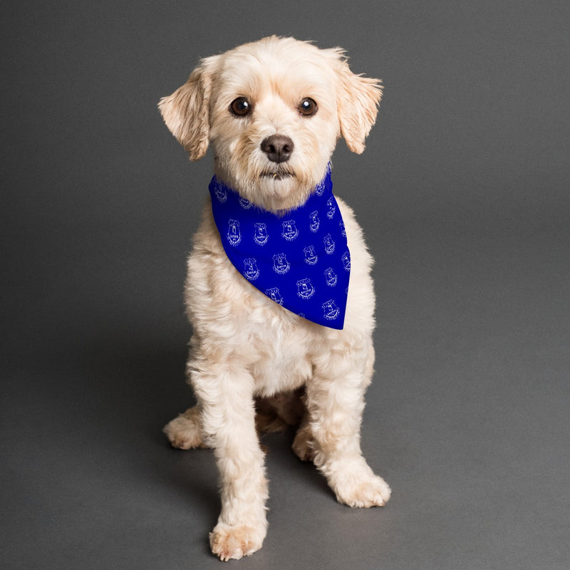 Everton FC 25/26 Home Kit Inspired Reversible Bandana