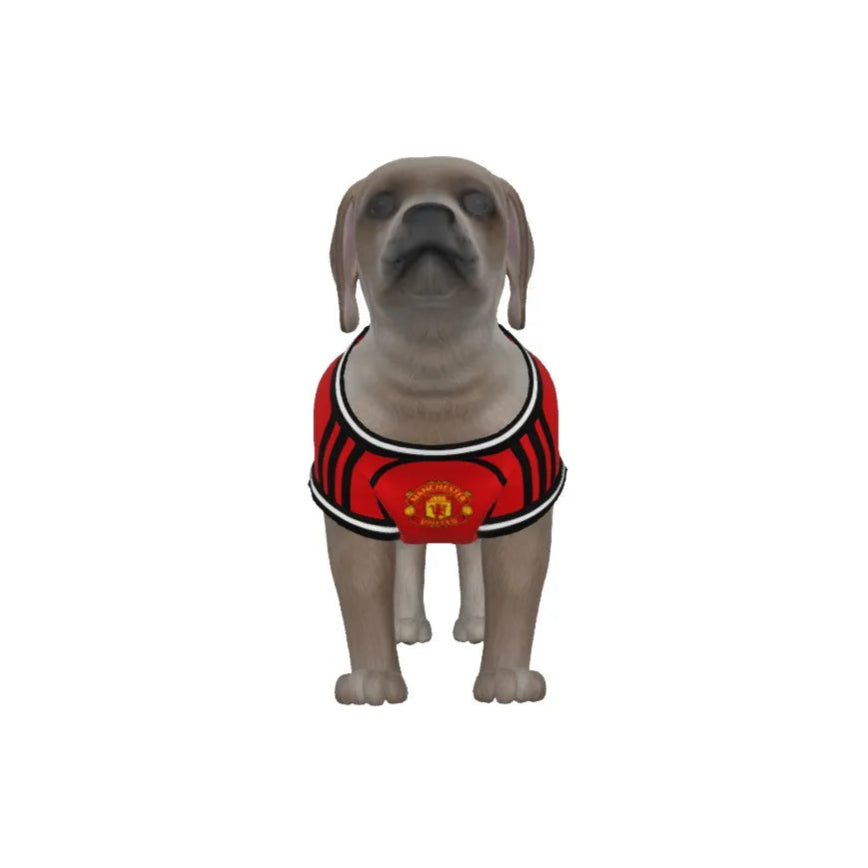 Manchester United FC 25/26 Home Kit Inspired Personalized Tank