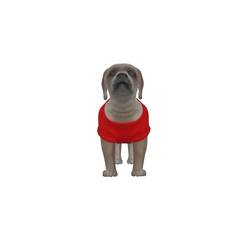 AFC Bournemouth 25/26 Home Inspired Pet Graphic Tee Shirt (Sizes XS-Small)