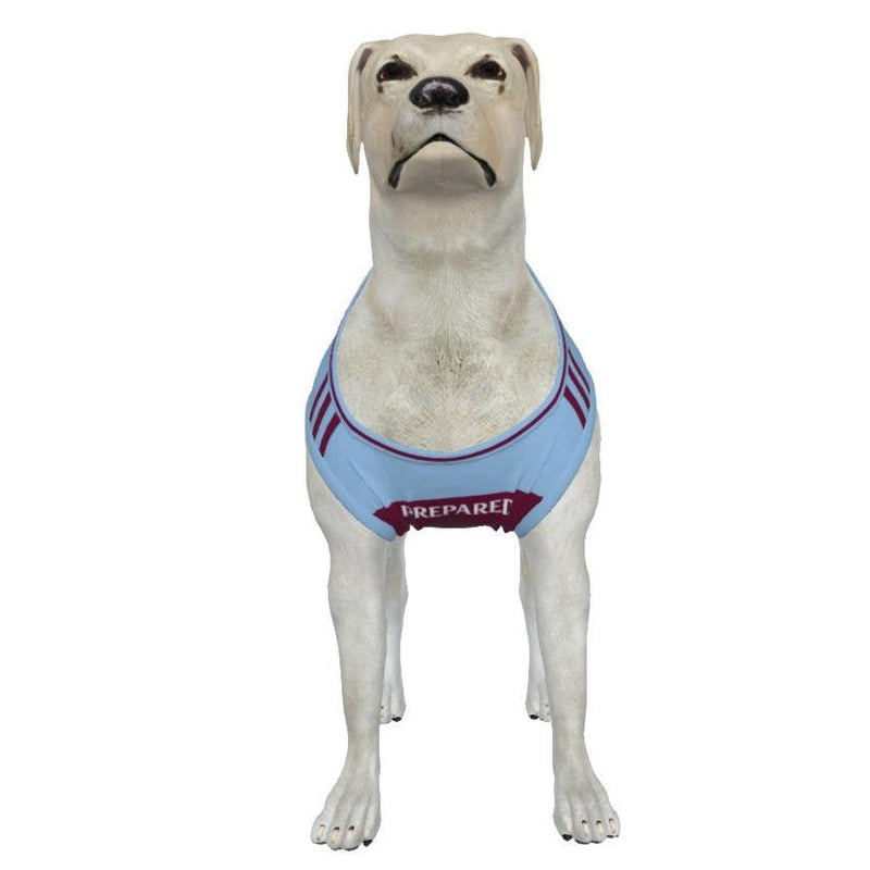 Aston Villa FC 24/25 Home Inspired Pet Tee (Size M-2x)