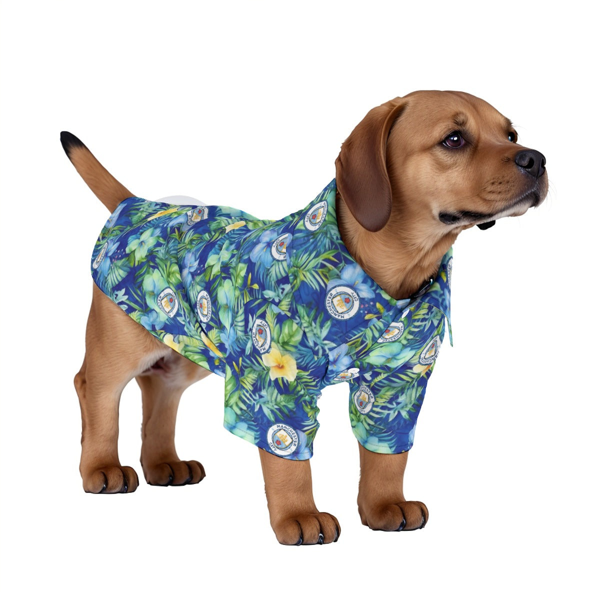 Manchester City FC 25/26 Team-Inspired Pet Hawaiian Shirt