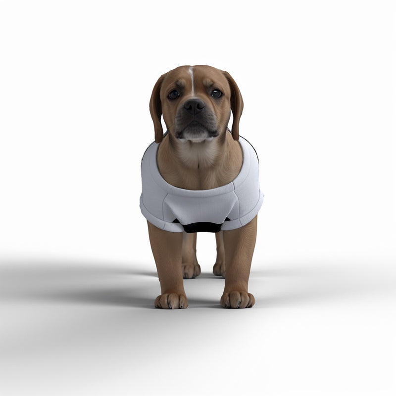 Fulham FC 25/26 Home Inspired Pet Graphic Tee Shirt (Sizes XS-Small)
