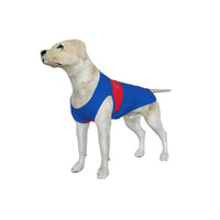 Crystal Palace FC 25/26 Home Inspired Pet Graphic Tee Shirt (Sizes XS-Small)