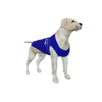 Everton FC 25/26 Home Inspired Graphic Pet Tee Shirt (Size M-2x)