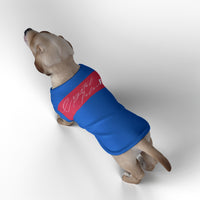 Crystal Palace FC 25/26 Home Inspired Pet Graphic Tee Shirt (Sizes XS-Small)
