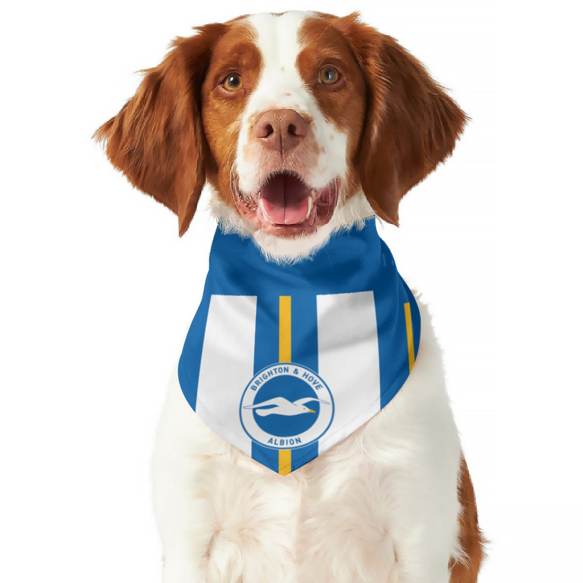 Brighton & Hove Albion FC 23 Reversible Bandana - Small