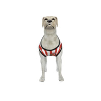 Sunderland AFC 25/26 Home Kit Inspired Personalized Tank
