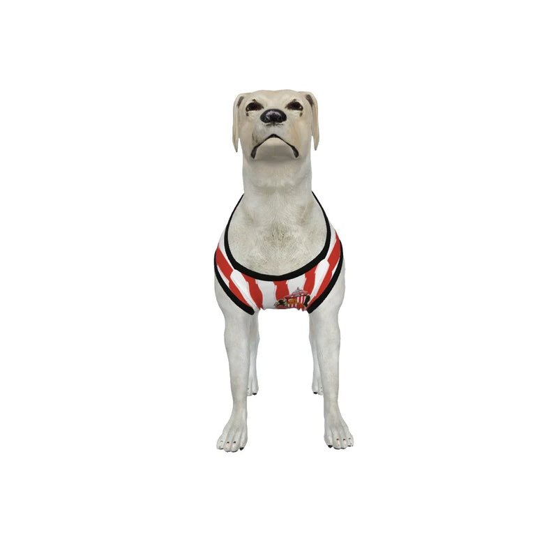 Sunderland AFC 25/26 Home Kit Inspired Personalized Tank