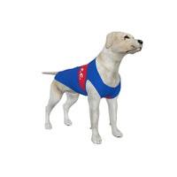Crystal Palace FC 25/26 Home Inspired Graphic Pet Tee Shirt (Size M-2x)