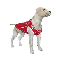 Liverpool FC 25/26 Home Kit Inspired Personalized Tank