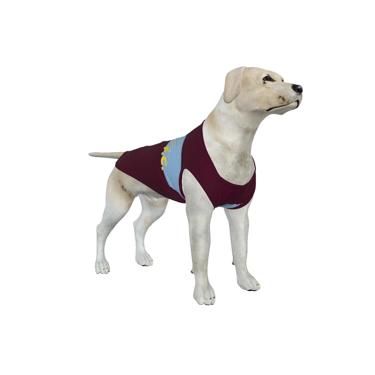 Aston Villa FC 25/26 Home Inspired Graphic Pet Tee Shirt (Size M-2x)