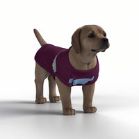 Aston Villa FC 25/26 Home Inspired Graphic Pet Tee Shirt (Size M-2x)