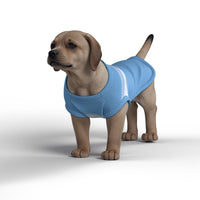 Manchester City FC 25/26 Home Inspired Pet Graphic Tee Shirt (Sizes XS-Small)
