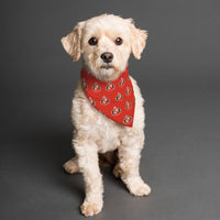 Sunderland AFC 25/26 Home Kit Inspired Reversible Bandana