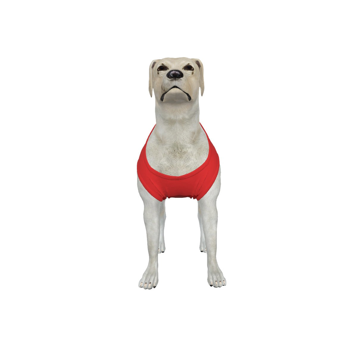 Nottingham Forest FC 25/26 Home Inspired Graphic Pet Tee Shirt (Size M-2x)