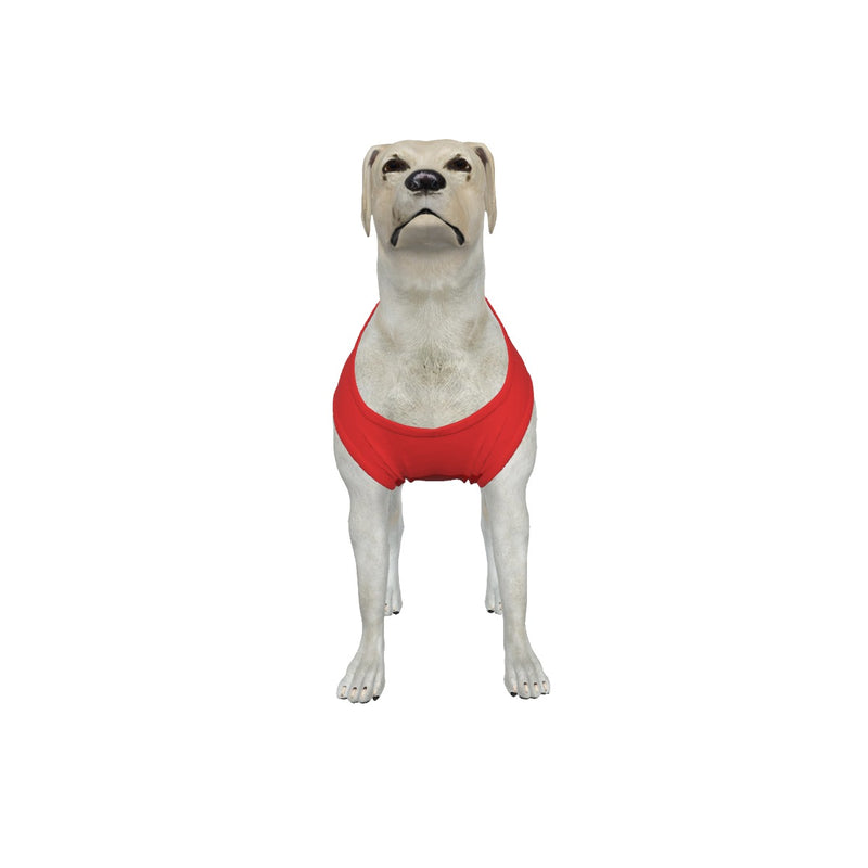 Nottingham Forest FC 25/26 Home Inspired Graphic Pet Tee Shirt (Size M-2x)